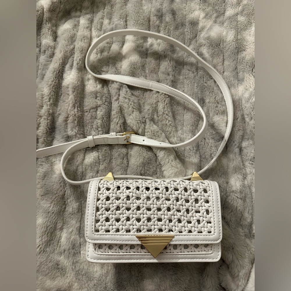 ALDO Zenith Crossbody Purse